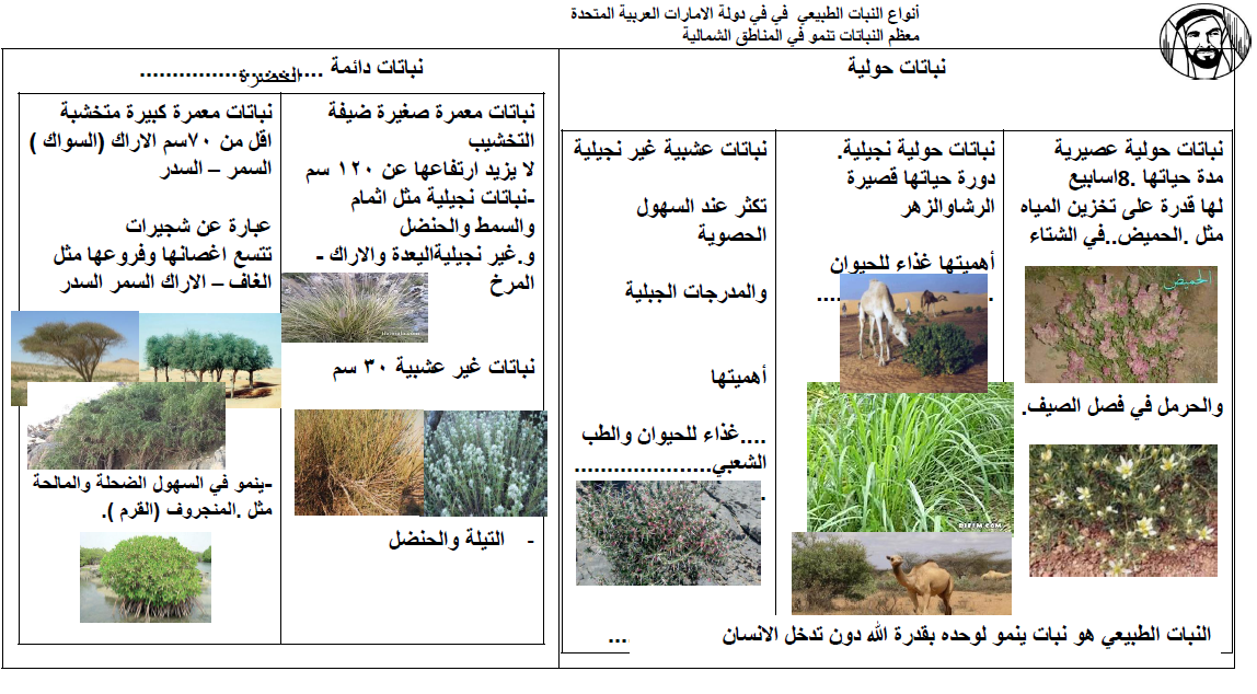حل كتاب الدراسات الاجتماعية الكويت والوطن العربي للصف السابع